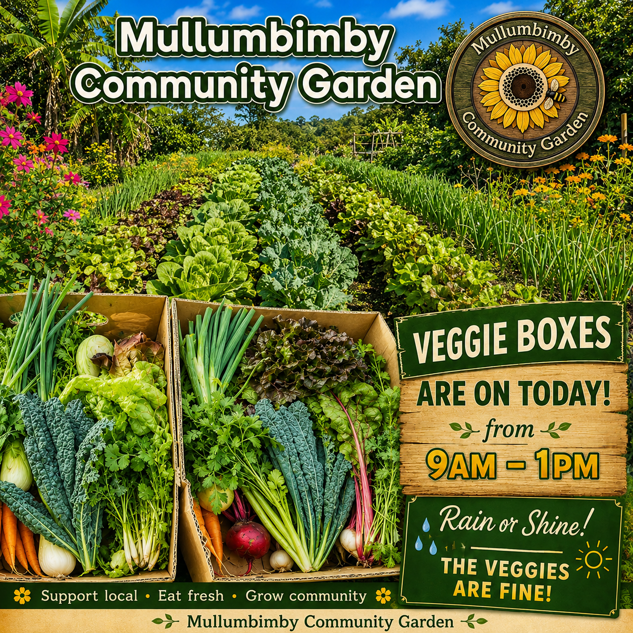 veggie boxes with wooden logo